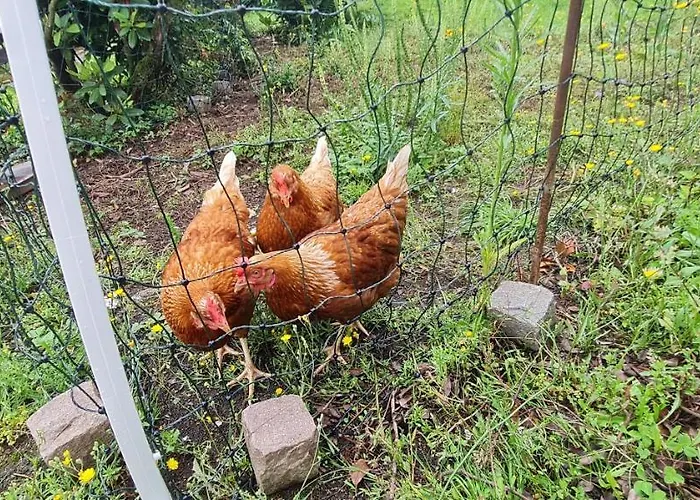 Im Gruenen Heppenheim (Bergstrasse)